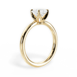 Abigail Princess Cut Lab Grown Diamond 18Kt Yellow Gold Engagement Ring - View 4