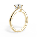 Brianna Heart Cut Lab Grown Diamond 18Kt Yellow Gold Engagement Ring - View 4