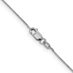 Leslie's (10K & 14K) Baby Box Chain - 14k White Gold / 16 in / Lobster