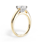 Bethany Princess Cut Lab Grown Diamond 18Kt Yellow Gold Engagement Ring - View 3