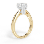 Beverly Heart Cut Lab Grown Diamond 18Kt Yellow Gold Engagement Ring - View 2