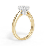 Beverly Radiant Cut Lab Grown Diamond 18Kt Yellow Gold Engagement Ring - View 2