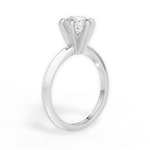 Barbara Round Cut Lab Grown Diamond Platinum Engagement Ring - View 3
