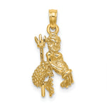 Gold 3D Zodiac Charm - Aquarius