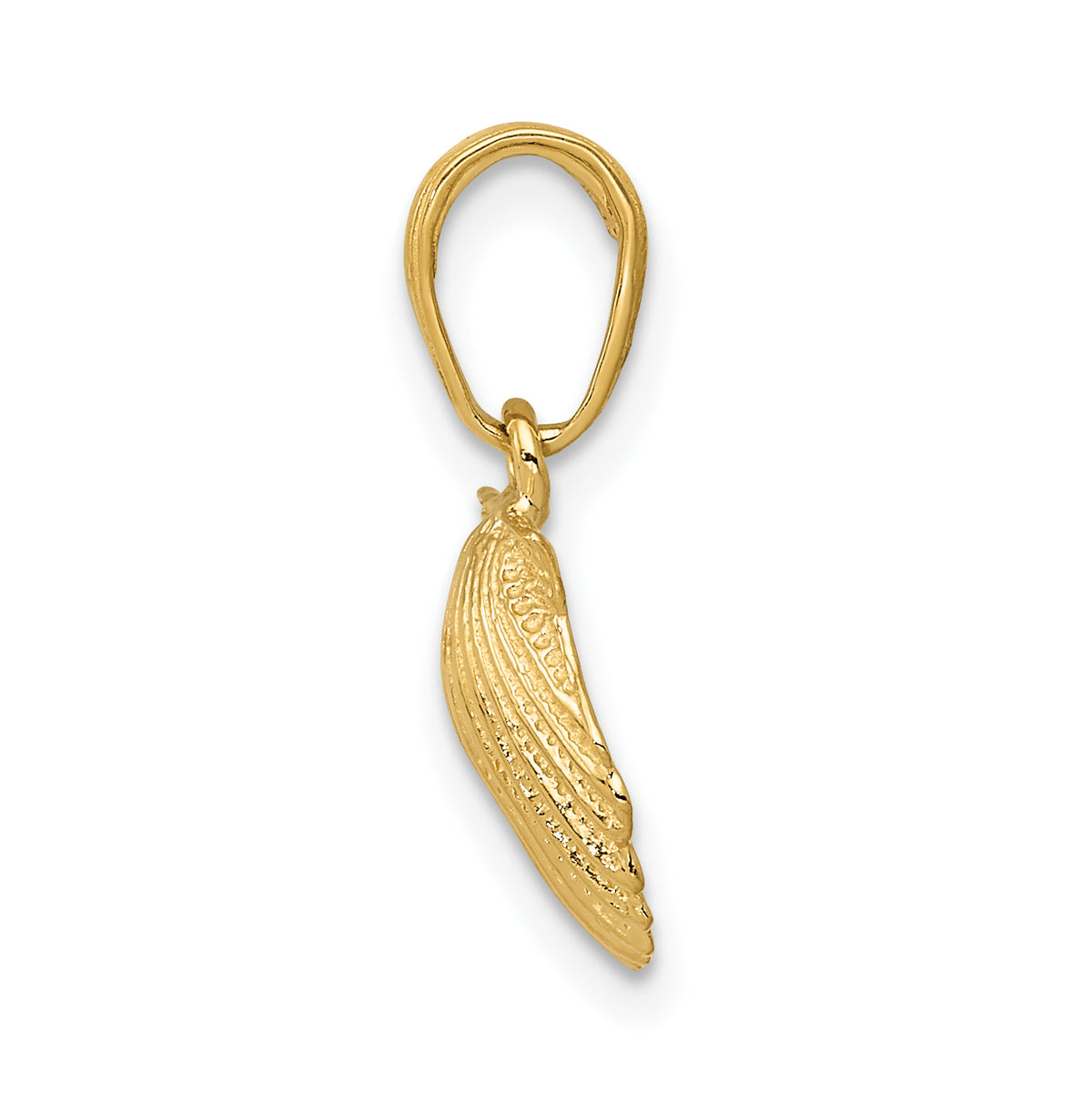 14k Yellow Gold Scallop Shell Pendant, view 2