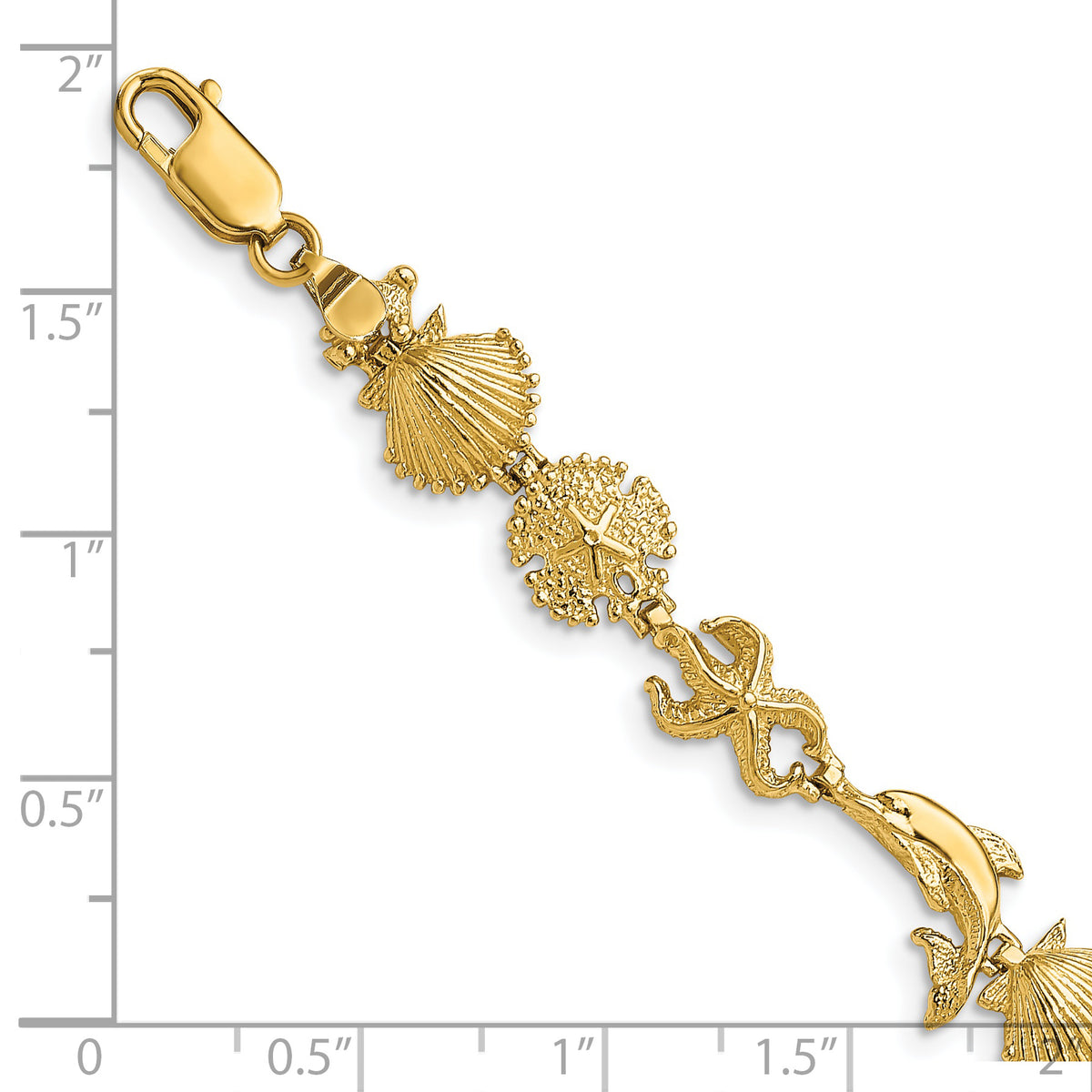 14k Yellow Gold Polished Dolphin and Sea Shells 7 inch Bracelet, shown with a ruler for scale
