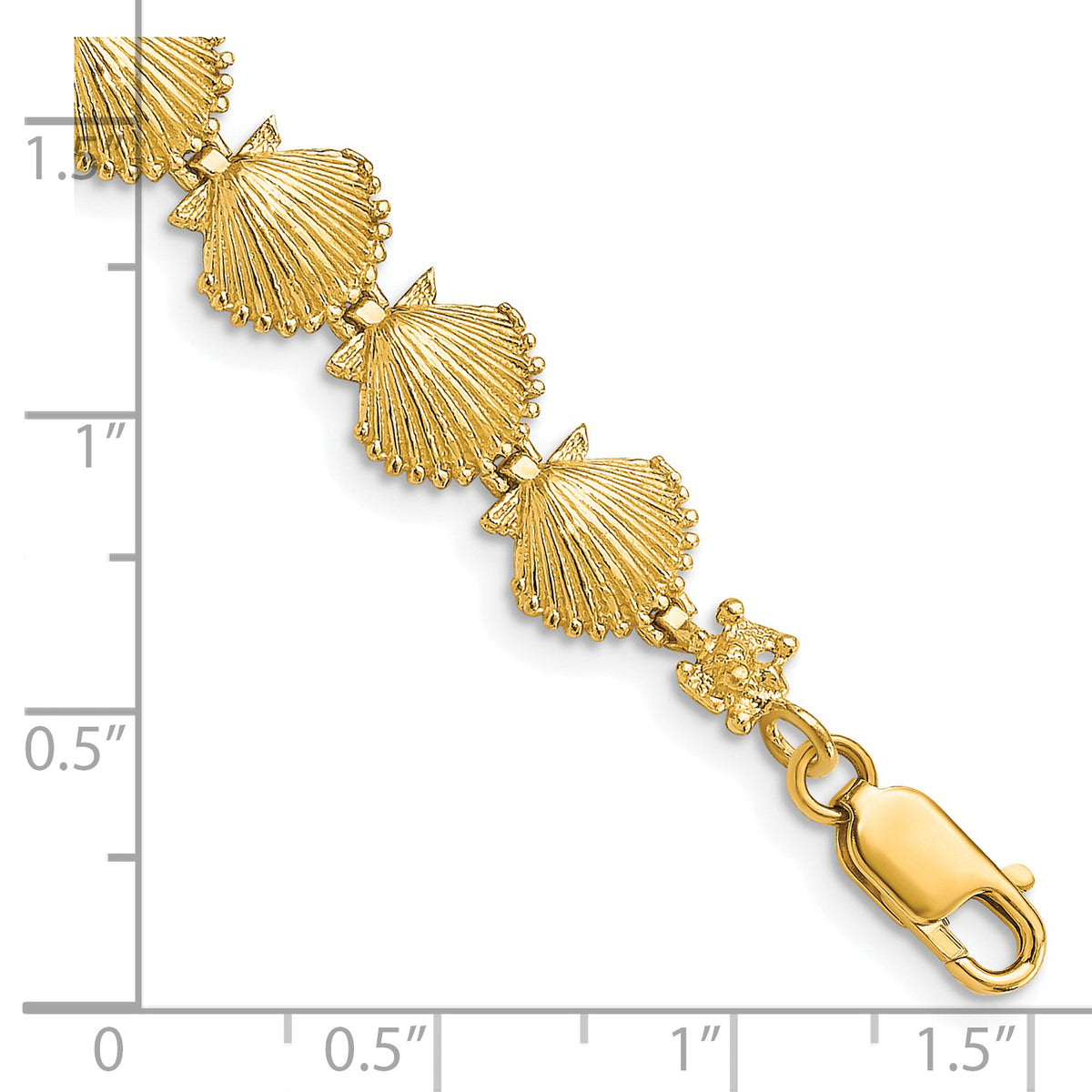 14k Yellow Gold Polished Scallop Shell 7.25 inch Bracelet, shown with a ruler for scale