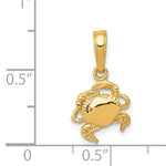 14k Yellow Gold Small Crab Pendant, shown with a ruler for scale