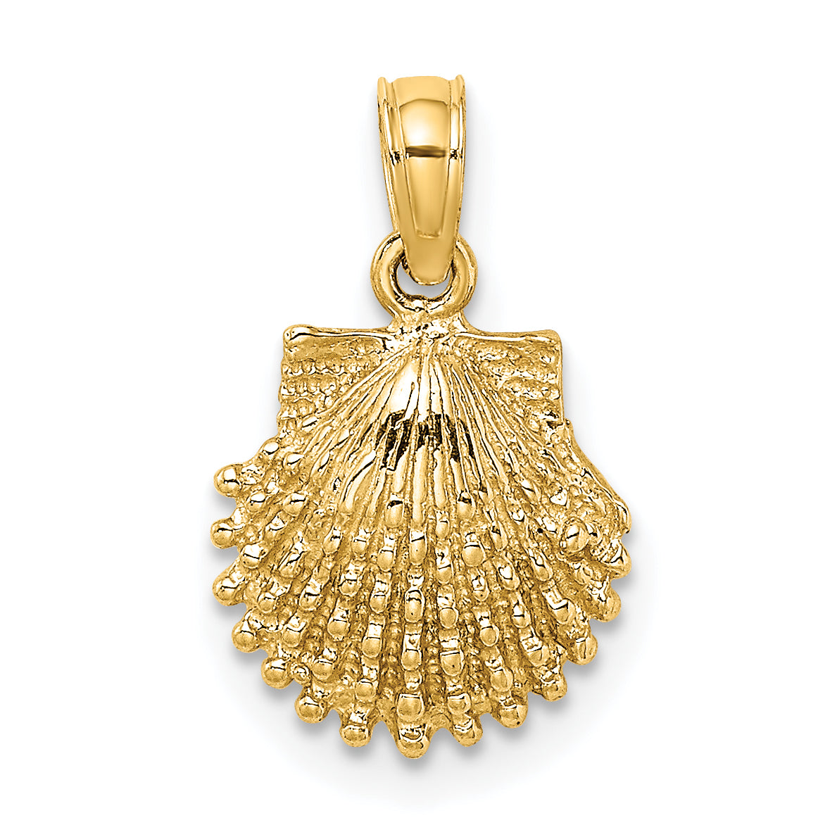 14k Yellow Gold Textured Scallop Shell Charm