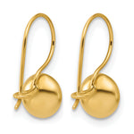 Leslie's Gold Polished Bead Drop Earrings - 14k Yellow Gold