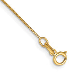 Gold (10K & 14K) Box Chain Anklet - 14k Yellow Gold / 10 in / 0.5 mm, Spring Ring