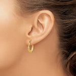 Gold Bamboo Hoop Earrings - 14k Yellow Gold / 3.75 mm / 17 mm