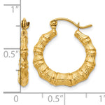 Gold Bamboo Hoop Earrings - 14k Yellow Gold / 3 mm / 18 mm