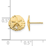 14k Madi K Sand Dollar Post Earrings