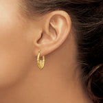 Gold Claddagh Hoop Earrings - 14k Yellow Gold / 3.25 mm / 18 x 22.5 mm