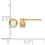 14k Bezel Stud Earrings - 14k Yellow Gold / Opal / 4 mm