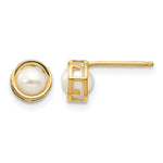 14k Bezel Stud Earrings - 14k Yellow Gold / Pearl / 4.5 mm