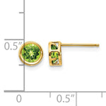 14k Bezel Stud Earrings - 14k Yellow Gold / Peridot / 5 mm