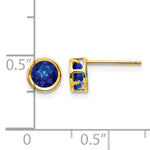 14k Bezel Stud Earrings - 14k Yellow Gold / Sapphire / 5 mm