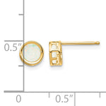 14k Bezel Stud Earrings - 14k Yellow Gold / Opal / 5 mm