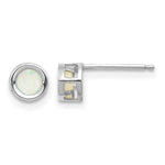 14k Bezel Stud Earrings - 14k White Gold / Opal / 4 mm
