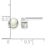 14k Bezel Stud Earrings - 14k White Gold / Opal / 5 mm