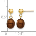 Rice Freshwater Cultured Pearl Dangle Post Earrings - 14k Yellow Gold / 6 to 7 mm (range) / Brown