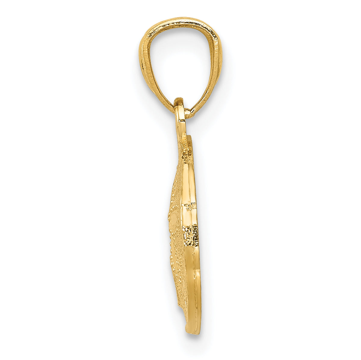 14k Yellow Gold Polished & Textured Sand Dollar Pendant, view 2