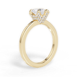 Gemma Heart Cut Lab Grown Diamond 18Kt Yellow Gold Engagement Ring - View 3