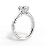 Ariana Asscher Cut Lab Grown Diamond Platinum Engagement Ring - View 3