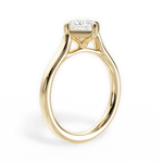 Bernadette Princess Cut Lab Grown Diamond 18Kt Yellow Gold Engagement Ring - View 3