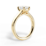 Ariana Radiant Cut Lab Grown Diamond 18Kt Yellow Gold Engagement Ring - View 3