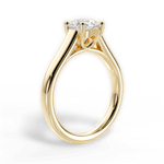 Ariana Round Cut Lab Grown Diamond 18Kt Yellow Gold Engagement Ring - View 2