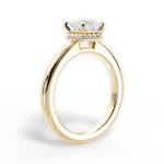 Brianna Princess Cut Lab Grown Diamond 18Kt Yellow Gold Engagement Ring - View 3