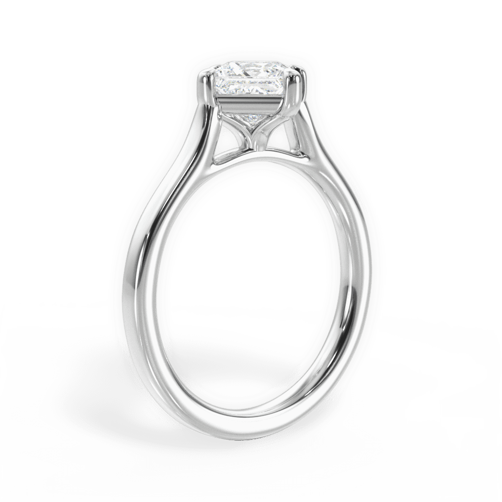 Bernadette Princess Cut Lab Grown Diamond Platinum Engagement Ring - View 3