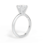 Alicia Princess Cut Lab Grown Diamond Platinum Engagement Ring - View 3