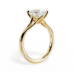 Anita Round Cut Lab Grown Diamond 18Kt Yellow Gold Engagement Ring - View 3