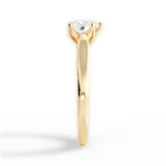 Carrie Heart Cut Lab Grown Diamond 18Kt Yellow Gold Engagement Ring - View 3