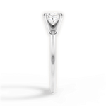 Alicia Princess Cut Lab Grown Diamond Platinum Engagement Ring - View 4