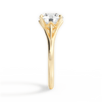 Anita Round Cut Lab Grown Diamond 18Kt Yellow Gold Engagement Ring - View 4