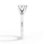 Alicia Heart Cut Lab Grown Diamond Platinum Engagement Ring - View 3
