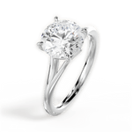 Anita Round Cut Lab Grown Diamond Platinum Engagement Ring - View 4